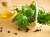 the-smell-of-basil-relieves-headache