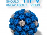 everything-you-need-to-know-about-human-papillomavirus-hpv