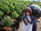 incredible-fed-their-sick-daughter-with-marijuana-twice-a-day-and-today-the-girl-can-walk-and-talk