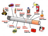 why-should-you-quit-smoking-harms-of-smoking-and-health-benefits-of-quitting